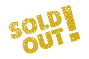 Sold Out - Master Laserterapia 2026
